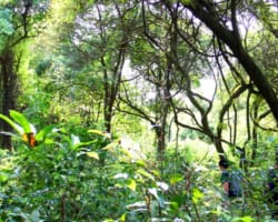 Lần đầu tiên, Việt Nam sẽ có quy hoạch bảo vệ môi trường quốc gia