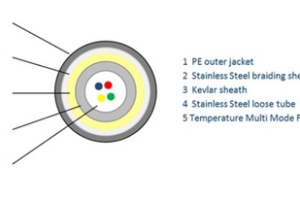 Cảm biến đo nhiệt độ DiTemp Budget Temperature Sensing Cable – Roctest.Canada